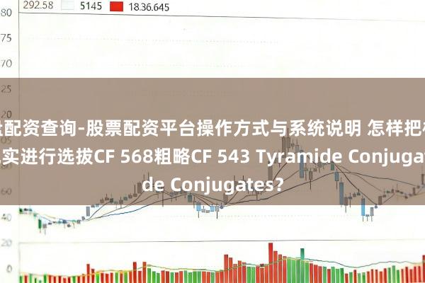 实盘配资查询-股票配资平台操作方式与系统说明 怎样把柄你的现实进行选拔CF 568粗略CF 543 Tyramide Conjugates？