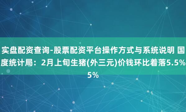 实盘配资查询-股票配资平台操作方式与系统说明 国度统计局：2月上旬生猪(外三元)价钱环比着落5.5%
