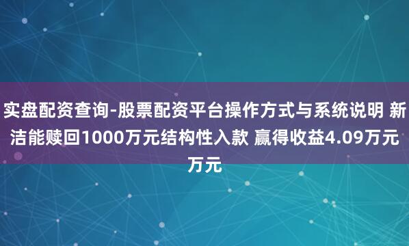实盘配资查询-股票配资平台操作方式与系统说明 新洁能赎回1000万元结构性入款 赢得收益4.09万元