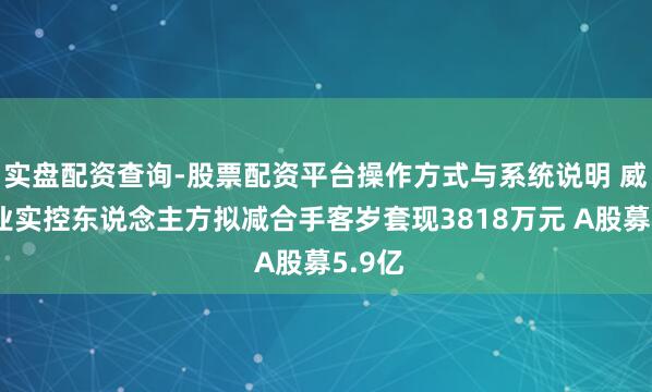 实盘配资查询-股票配资平台操作方式与系统说明 威尔药业实控东说念主方拟减合手客岁套现3818万元 A股募5.9亿