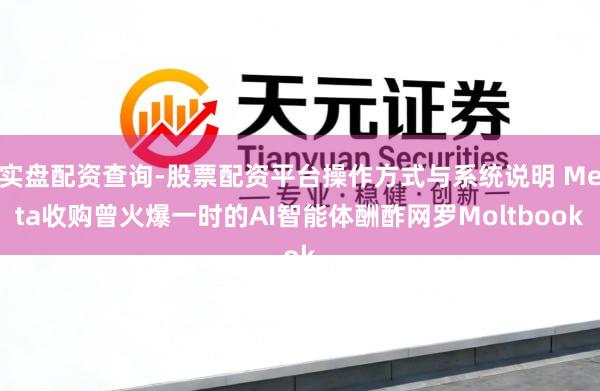 实盘配资查询-股票配资平台操作方式与系统说明 Meta收购曾火爆一时的AI智能体酬酢网罗Moltbook