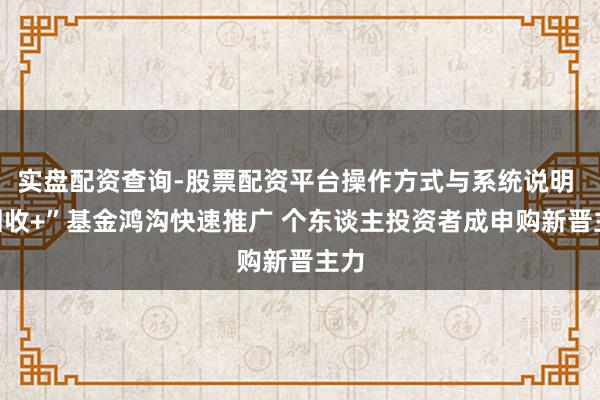 实盘配资查询-股票配资平台操作方式与系统说明 “固收+”基金鸿沟快速推广 个东谈主投资者成申购新晋主力