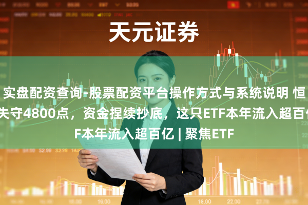 实盘配资查询-股票配资平台操作方式与系统说明 恒生科技指数失守4800点,资金捏续抄底,这只ETF本年流入超百亿 | 聚焦ETF