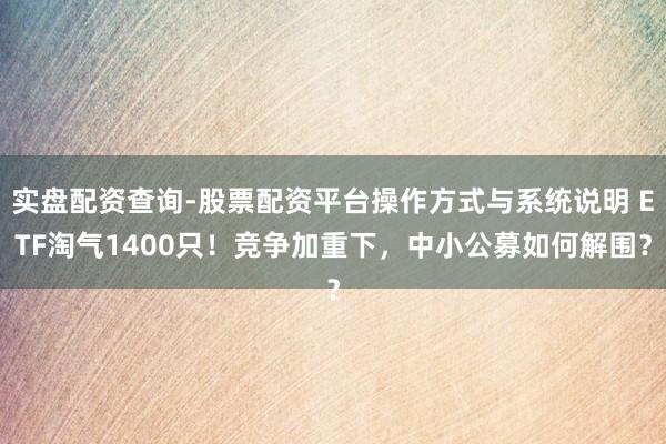 实盘配资查询-股票配资平台操作方式与系统说明 ETF淘气1400只！竞争加重下，中小公募如何解围？