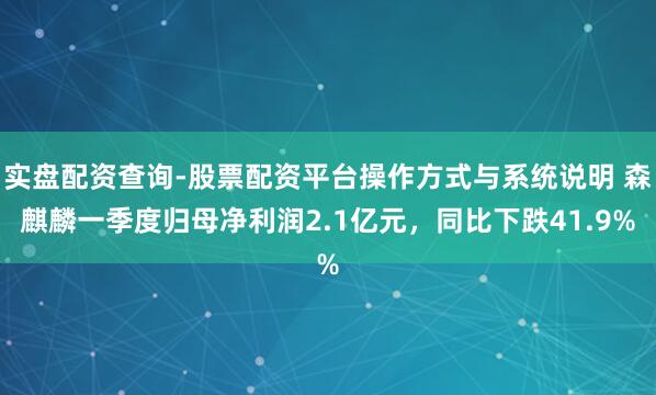 实盘配资查询-股票配资平台操作方式与系统说明 森麒麟一季度归母净利润2.1亿元，同比下跌41.9%